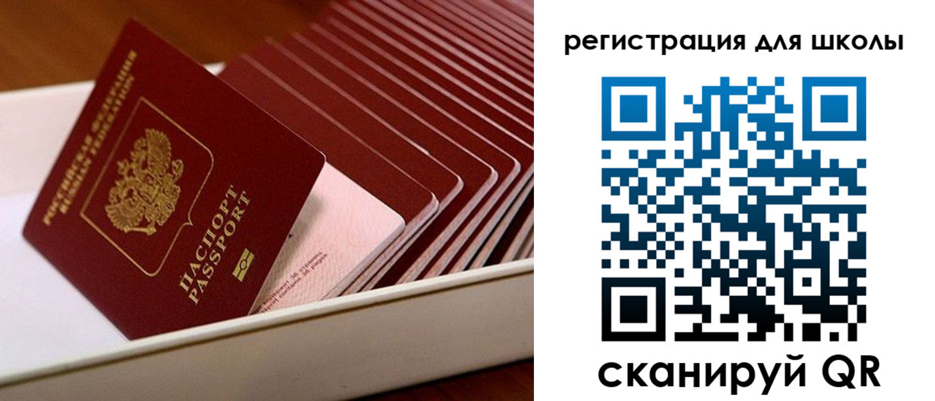 прописка гарантия в Бавлах